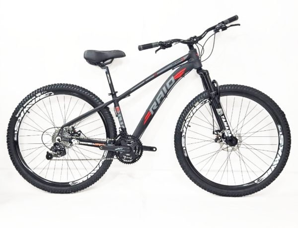 BICICLETA RAIO ARO 29 AL TAM 15 24V